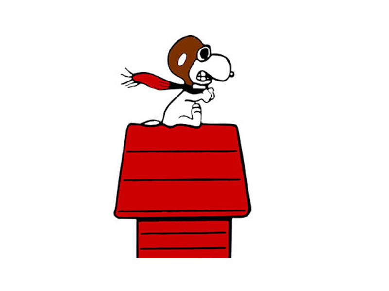 Snoopy Flying Ace