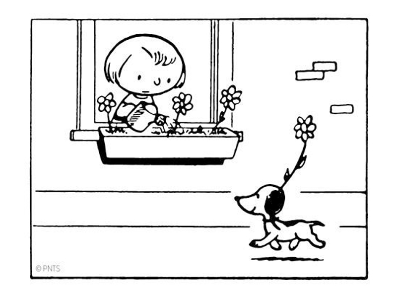 Snoopy's First Appearance